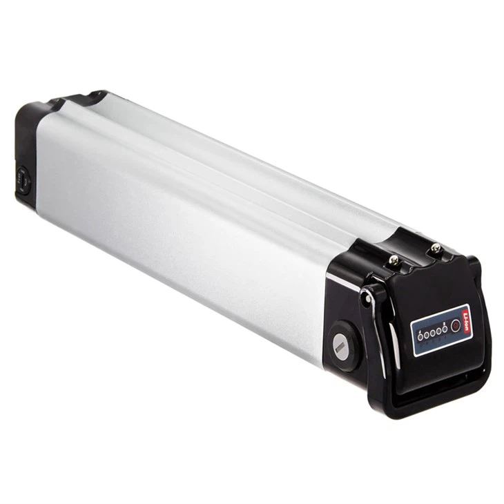 48V Electric Bicycle Lithium-ion Battery